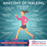 The Benefits of Walking for Fitness and Mental Health