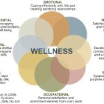 The Connection between Environmental Health and Overall Wellness