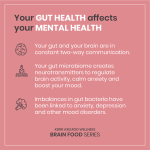 The Connection between Gut Health and Overall Wellness