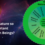 The Importance of Nature in Achieving a Healthy Lifestyle